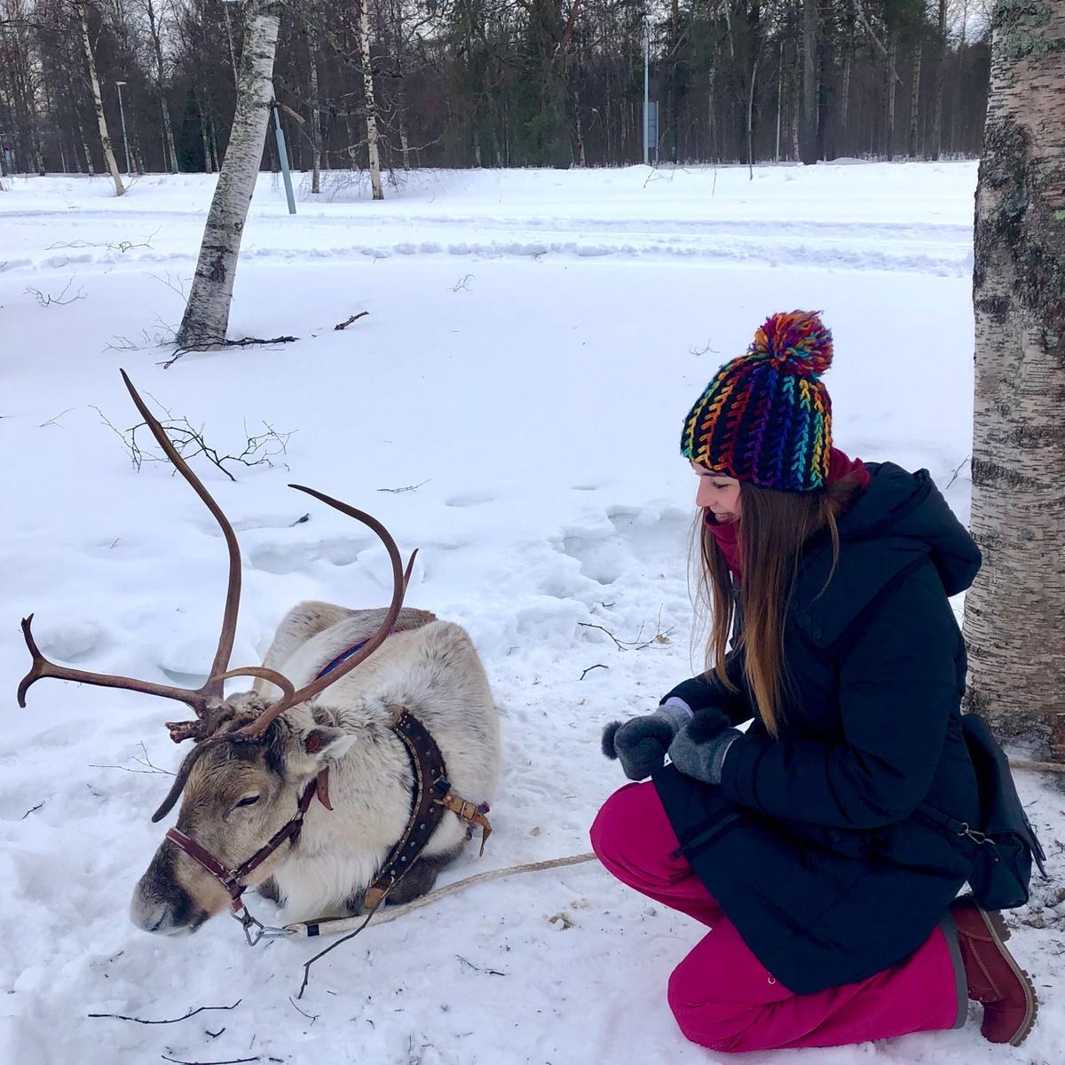 ErasmusReindeerParohy