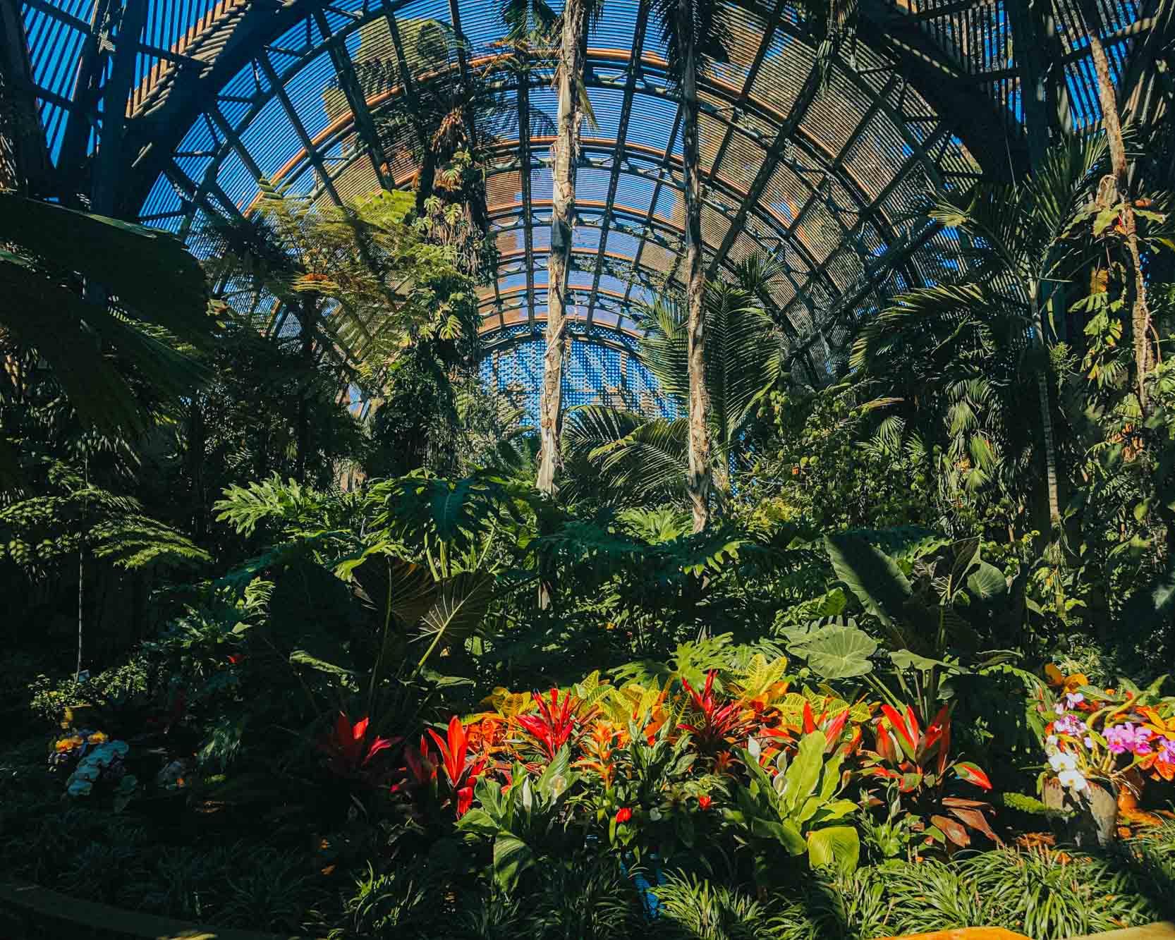 SDBotanicGarden