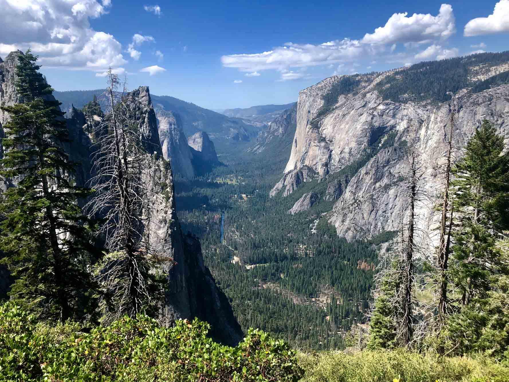 YGlacierPointTrail3
