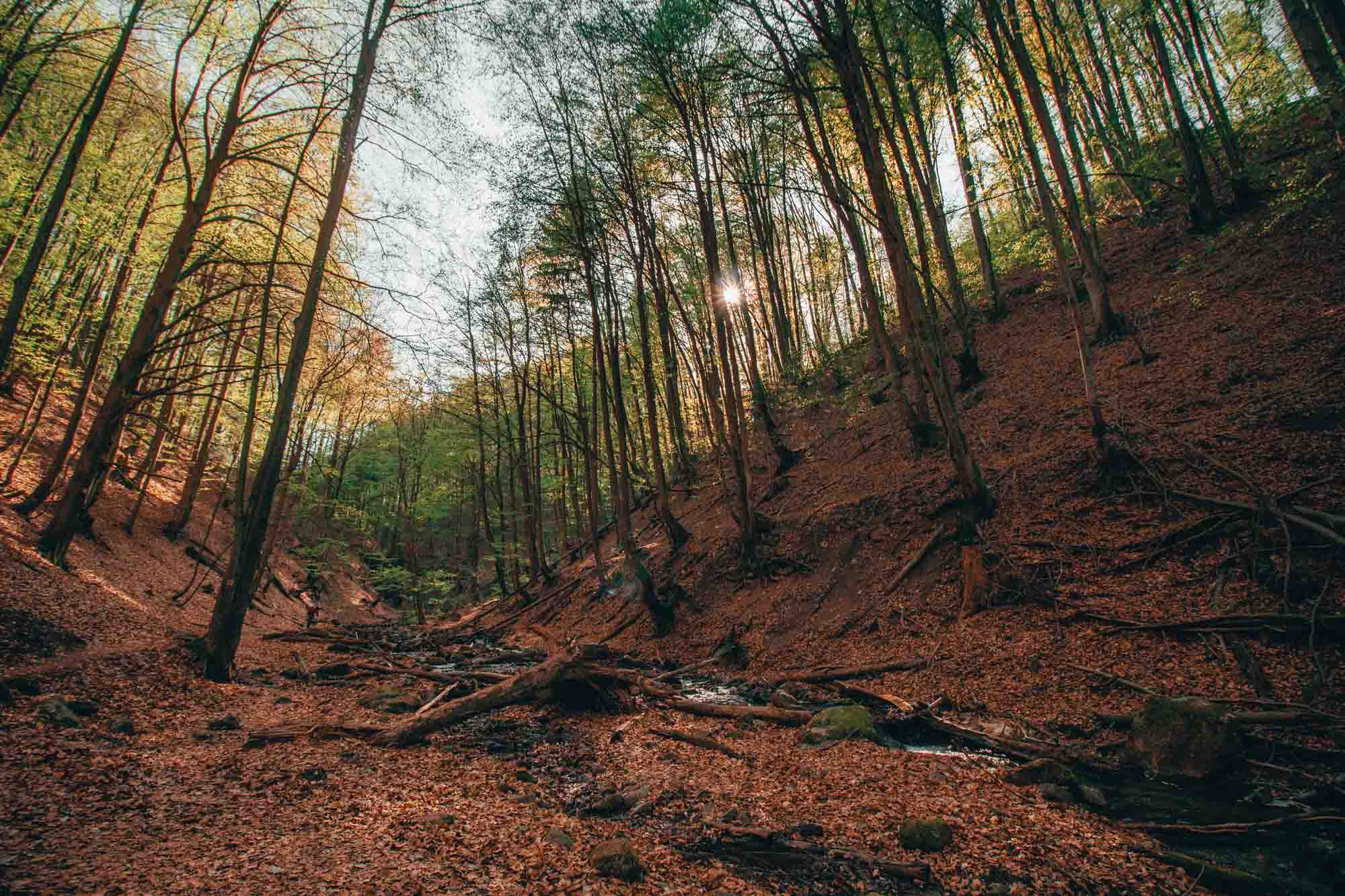 KralickyVodopadPriroda