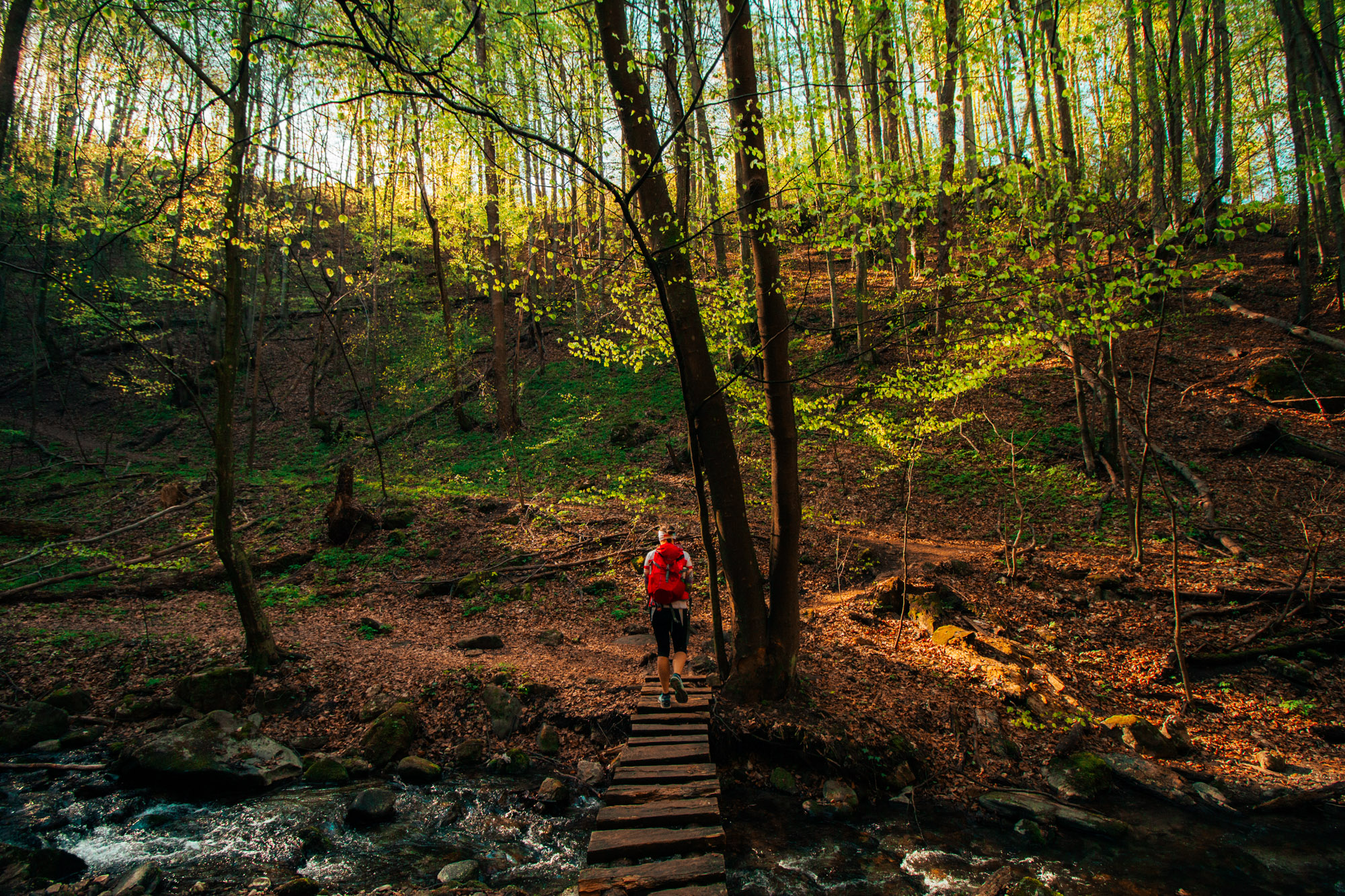 KralickyVodopadPrirodaLiv